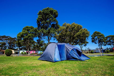 BIG4 Traralgon Park Lane Holiday Park - Accommodation Port Macquarie 2