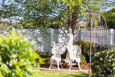 BIRCHES B&B - Accommodation Port Macquarie 2