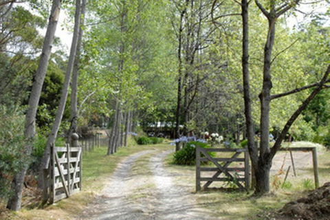 Birdwing Bed And Breakfast Weegena - Accommodation Port Macquarie 3