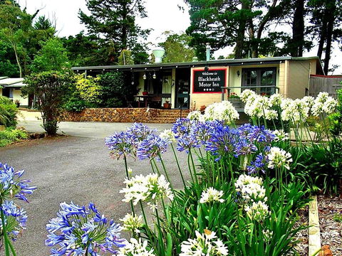 Blackheath Motor Inn - Accommodation Port Macquarie 0