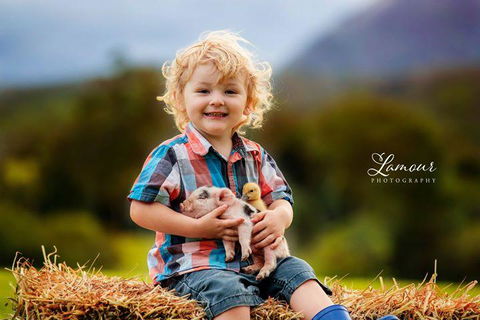 Blackwattle Farm - Accommodation Port Macquarie 0