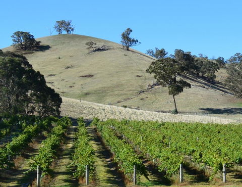 Blue House At Mountainside Wines - Accommodation Port Macquarie 3