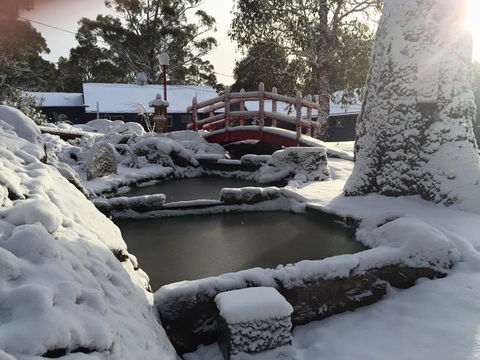 Blue Lake Lodge - Accommodation Port Macquarie 3