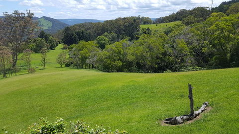 Blue Summit Cottages - Accommodation Port Macquarie 3