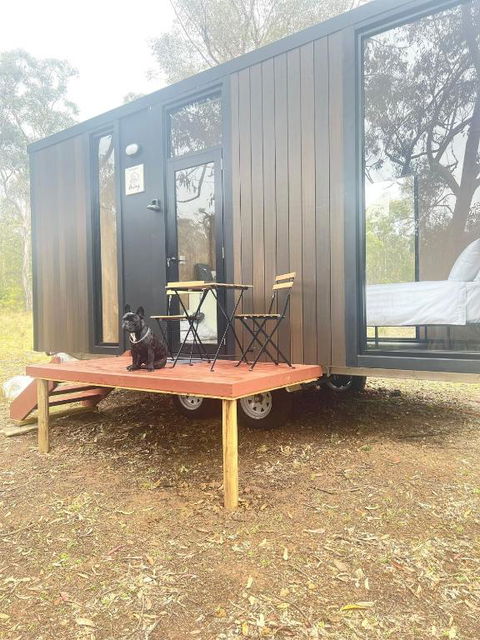 Whispering Wallaby By Tiny Away - Accommodation Port Macquarie 1