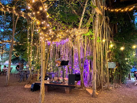 Banyan Tree - Accommodation Port Macquarie 1