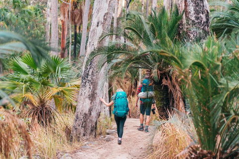 BIG4 Breeze Holiday Parks - Carnarvon Gorge - Accommodation Port Macquarie 0