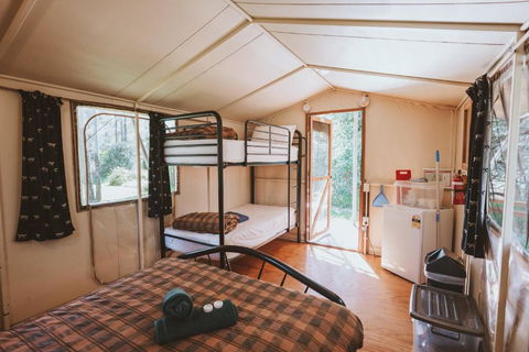 BIG4 Breeze Holiday Parks - Carnarvon Gorge - Accommodation Port Macquarie 1