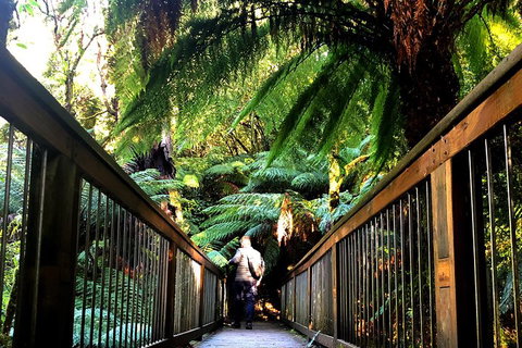 Small-Group Great Ocean Road And Twelve Apostles Full-Day Tour - Accommodation Port Macquarie 1