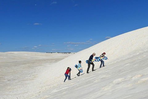 Private, Luxury Pinnacles Tour: Stargazing, Sand-boarding & Sightseeing - Accommodation Port Macquarie 4