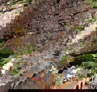 3-Day Kakadu 4WD Camping Safari from Darwin - Accommodation Port Macquarie