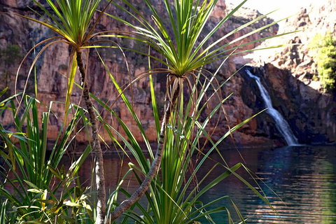 3-Day Kakadu 4WD Camping Safari From Darwin - Accommodation Port Macquarie 2