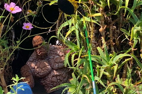 The Fully Local (Private) Tour - Accommodation Port Macquarie 5