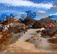 The Big Wave Rock Private Day Tour - Accommodation Port Macquarie