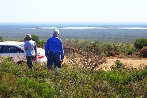 Spring Wildflower (Private) Day Tours - Accommodation Port Macquarie 3
