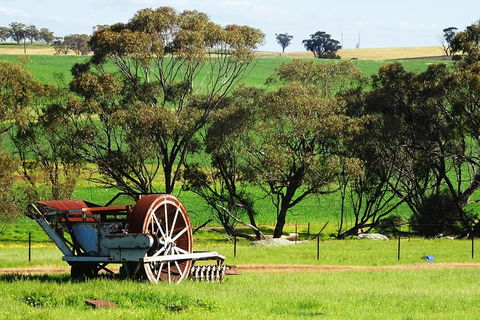 Spring Wildflower (Private) Day Tours - Accommodation Port Macquarie 4