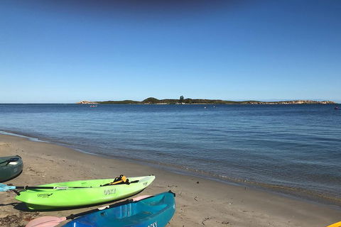 Penguin Island And Fremantle - Canoe, Chocolate & Coffee - Accommodation Port Macquarie 2