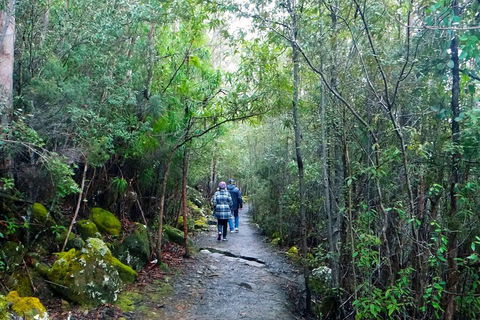 Kunanyi/Mt Wellington Tour & Hobart Hop-On Hop-Off Bus - Accommodation Port Macquarie 1