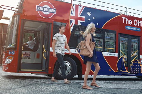 Kunanyi/Mt Wellington Tour & Hobart Hop-On Hop-Off Bus - Accommodation Port Macquarie 4