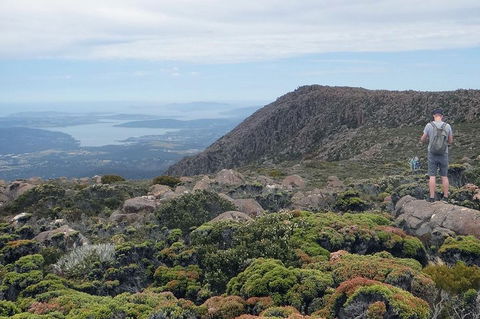 Kunanyi/Mt Wellington Explorer Bus - One Way Tour - Accommodation Port Macquarie 0