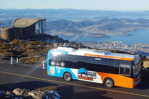 Kunanyi/Mt Wellington Explorer Bus - One Way Tour - Accommodation Port Macquarie 1