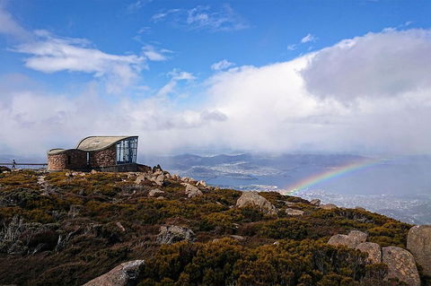 Kunanyi/Mt Wellington Explorer Bus - One Way Tour - Accommodation Port Macquarie 3