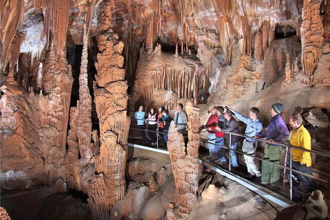 Private Tour: Jenolan Caves & Blue Mountains In A Day - Accommodation Port Macquarie 0