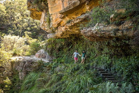 Private Guided: Blue Mountains Hiking & Nature Tour - Accommodation Port Macquarie 2