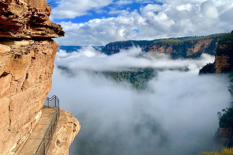 Private Guided: Blue Mountains Hiking & Nature Tour - Accommodation Port Macquarie 5