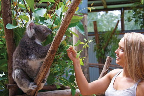 Private Guided Tour: Blue Mountains Tour From Sydney - Accommodation Port Macquarie 5