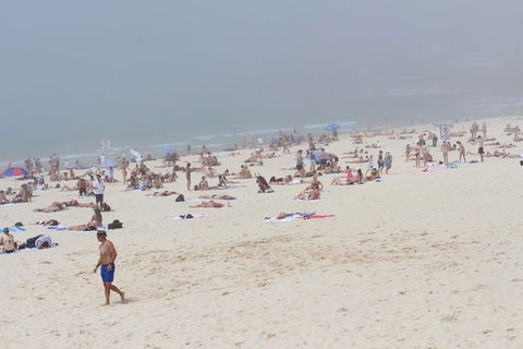 Sydney Shore Excursion: Half-Day Sydney City Highlights With Bondi Beach And Watsons Bay - Accommodation Port Macquarie 4