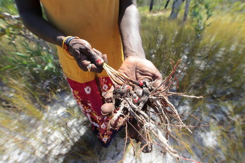 Gay-Wu Woman's 5 Day Yolngu Homeland Tour - Accommodation Port Macquarie 0