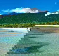 5-Day Best of Cairns with Daintree Kuranda and Great Barrier Reef - Accommodation Port Macquarie