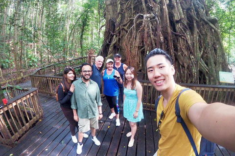 Cairns 4WD Waterfall And Rainforest Tour Including Kuranda Scenic Railway - Accommodation Port Macquarie 0