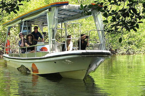 3-Day Best Of Cairns Combo: The Daintree Rainforest, Great Barrier Reef, And Kuranda - Accommodation Port Macquarie 4