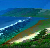 Cairns Reef and Rainforest Combo Daintree Rainforest and the Great Barrier Reef - Accommodation Port Macquarie