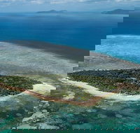 4-Day Cairns with Great Barrier Reef and Daintree Rainforest - Accommodation Port Macquarie