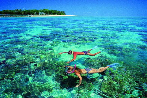 4-Day Cairns With Great Barrier Reef And Daintree Rainforest - Accommodation Port Macquarie 2