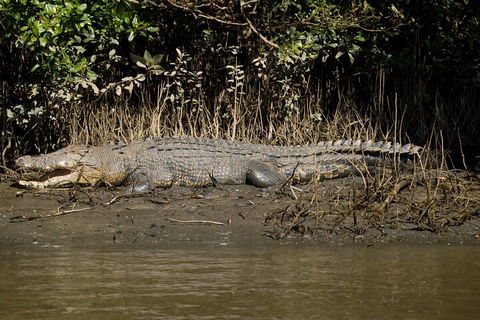 4-Day Cairns With Great Barrier Reef And Daintree Rainforest - Accommodation Port Macquarie 4