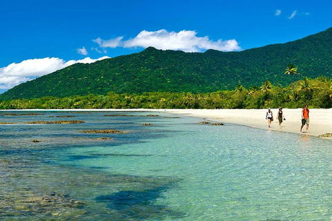 Private Daintree National Park Day Tour From Cairns Including Cape Tribulation And Mossman Gorge - Accommodation Port Macquarie 0