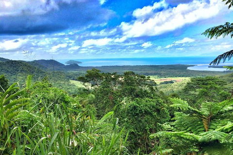 Private Daintree National Park Day Tour From Cairns Including Cape Tribulation And Mossman Gorge - Accommodation Port Macquarie 2