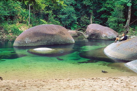Private Daintree National Park Day Tour From Cairns Including Cape Tribulation And Mossman Gorge - Accommodation Port Macquarie 4