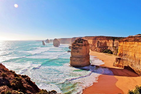Cruise Ship Shore Excursion - Private Great Ocean Road Full Day Tour (12 Hour) - Accommodation Port Macquarie 2
