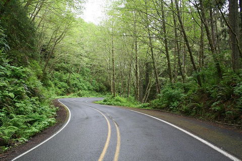 Cruise Ship Shore Excursion - Private Great Ocean Road Full Day Tour (12 Hour) - Accommodation Port Macquarie 3