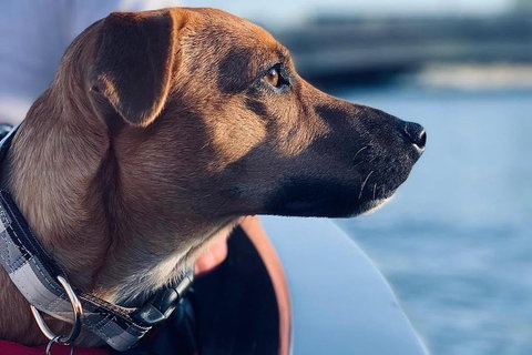 1.5-Hour Boat Rental In Melbourne - Accommodation Port Macquarie 0