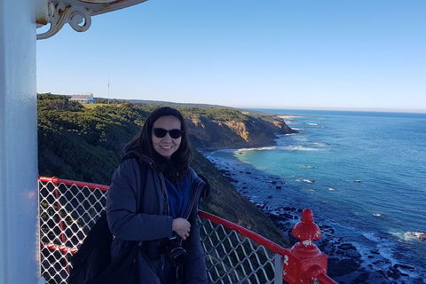 Great Ocean Road Full Day Private Experience - Accommodation Port Macquarie 1