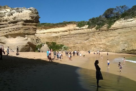 Great Ocean Road Full Day Private Experience - Accommodation Port Macquarie 3
