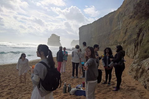 Great Ocean Road Full Day Private Experience - Accommodation Port Macquarie 4
