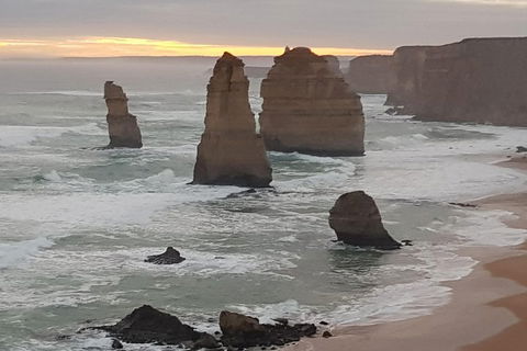 Private Express Experience - 12 Apostles - Accommodation Port Macquarie 1