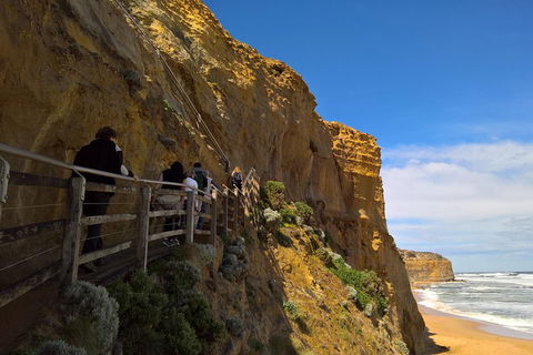 Private Express Experience - 12 Apostles - Accommodation Port Macquarie 3